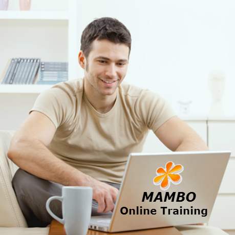 MAMBO-Online-Training